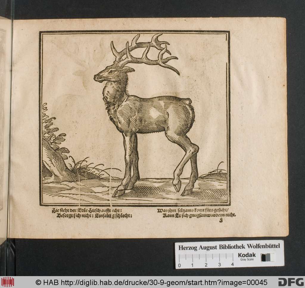 http://diglib.hab.de/drucke/30-9-geom/00045.jpg