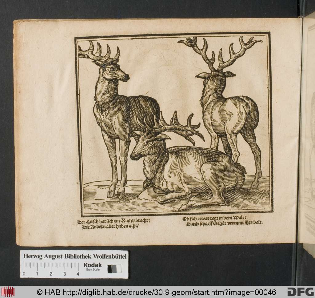 http://diglib.hab.de/drucke/30-9-geom/00046.jpg