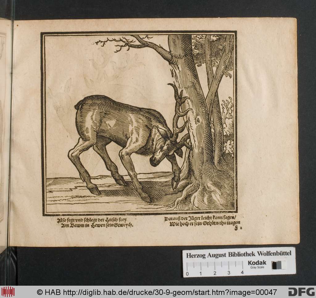 http://diglib.hab.de/drucke/30-9-geom/00047.jpg
