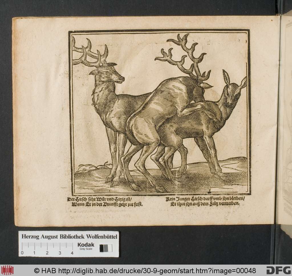 http://diglib.hab.de/drucke/30-9-geom/00048.jpg