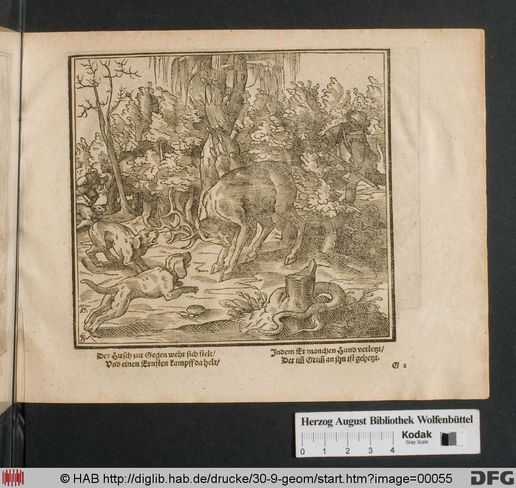 http://diglib.hab.de/drucke/30-9-geom/00055.jpg
