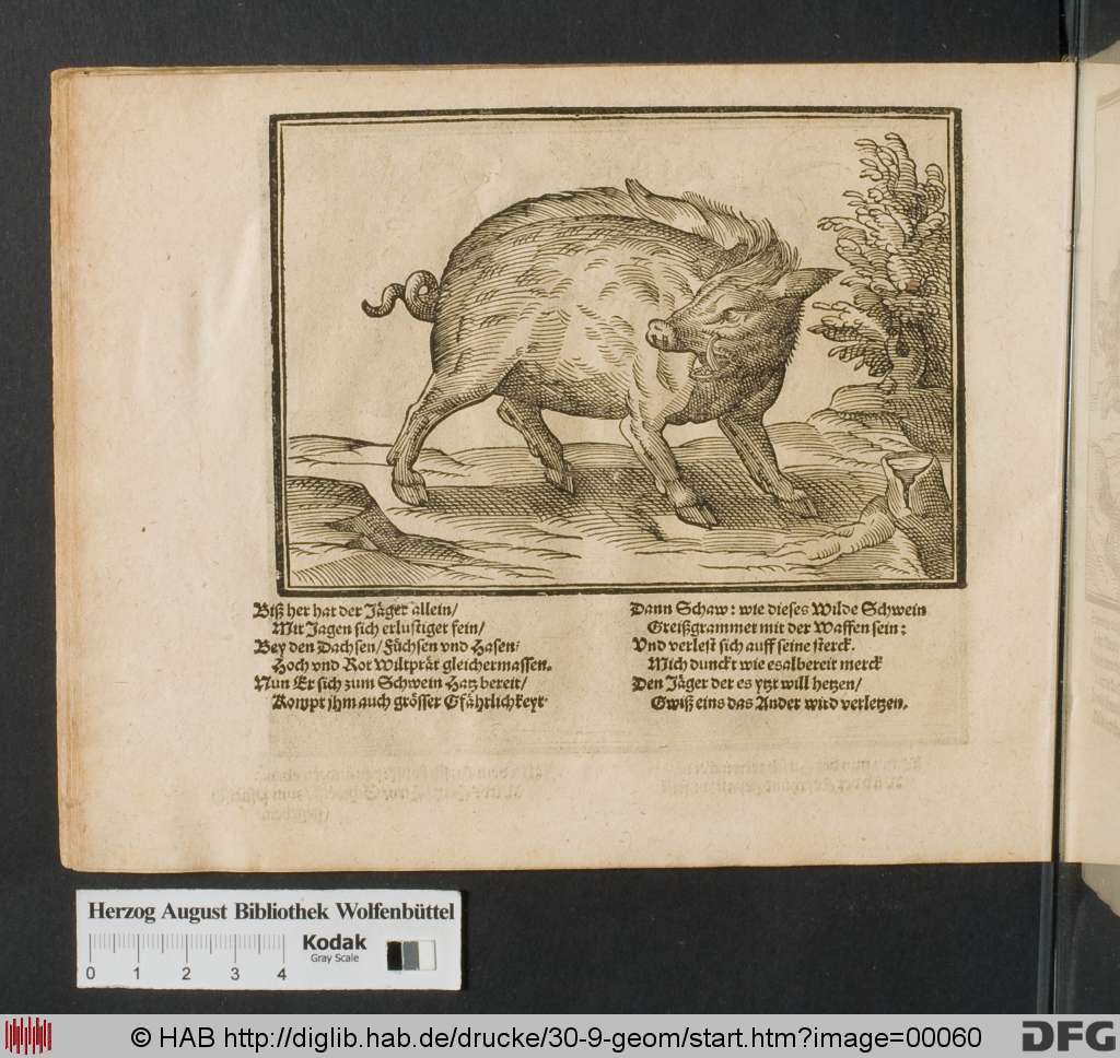 http://diglib.hab.de/drucke/30-9-geom/00060.jpg