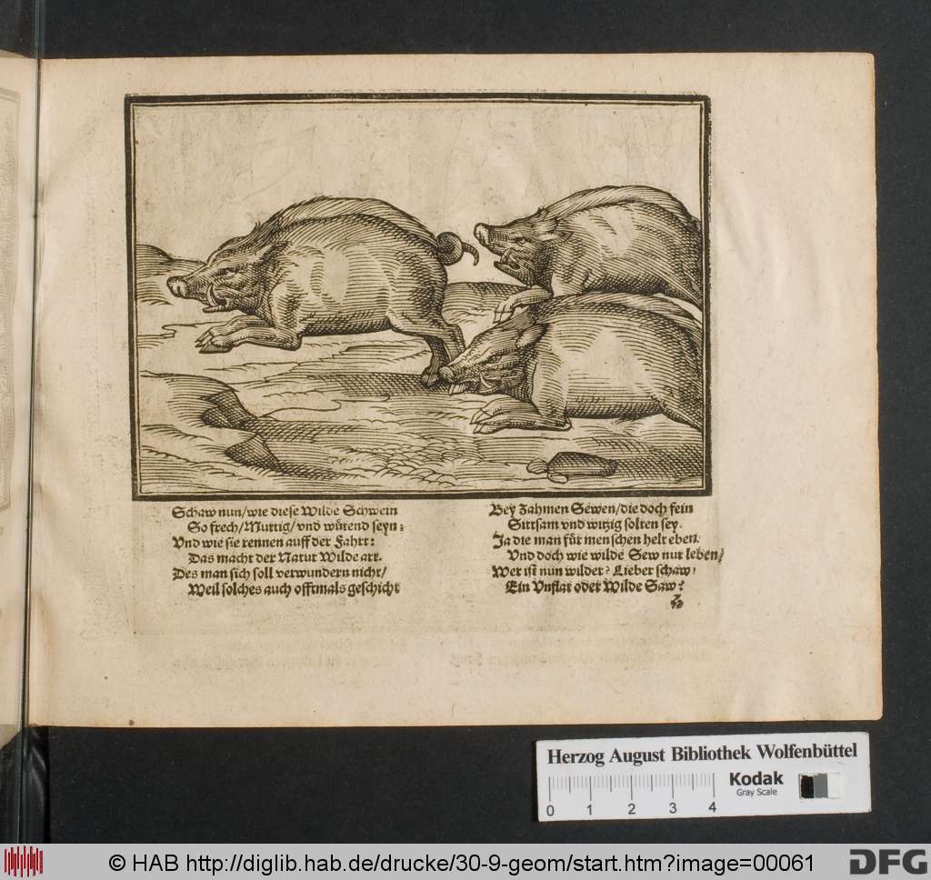 http://diglib.hab.de/drucke/30-9-geom/00061.jpg