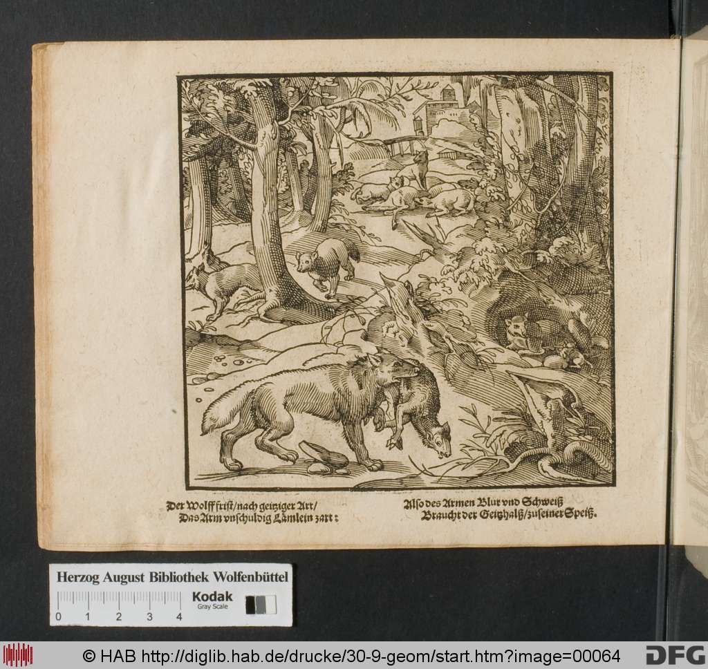 http://diglib.hab.de/drucke/30-9-geom/00064.jpg