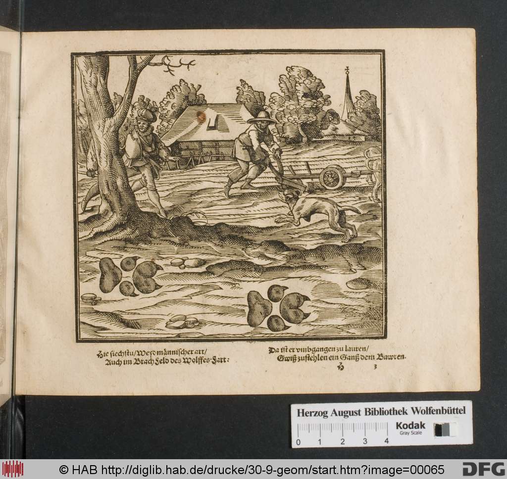 http://diglib.hab.de/drucke/30-9-geom/00065.jpg