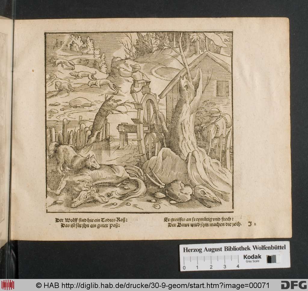 http://diglib.hab.de/drucke/30-9-geom/00071.jpg