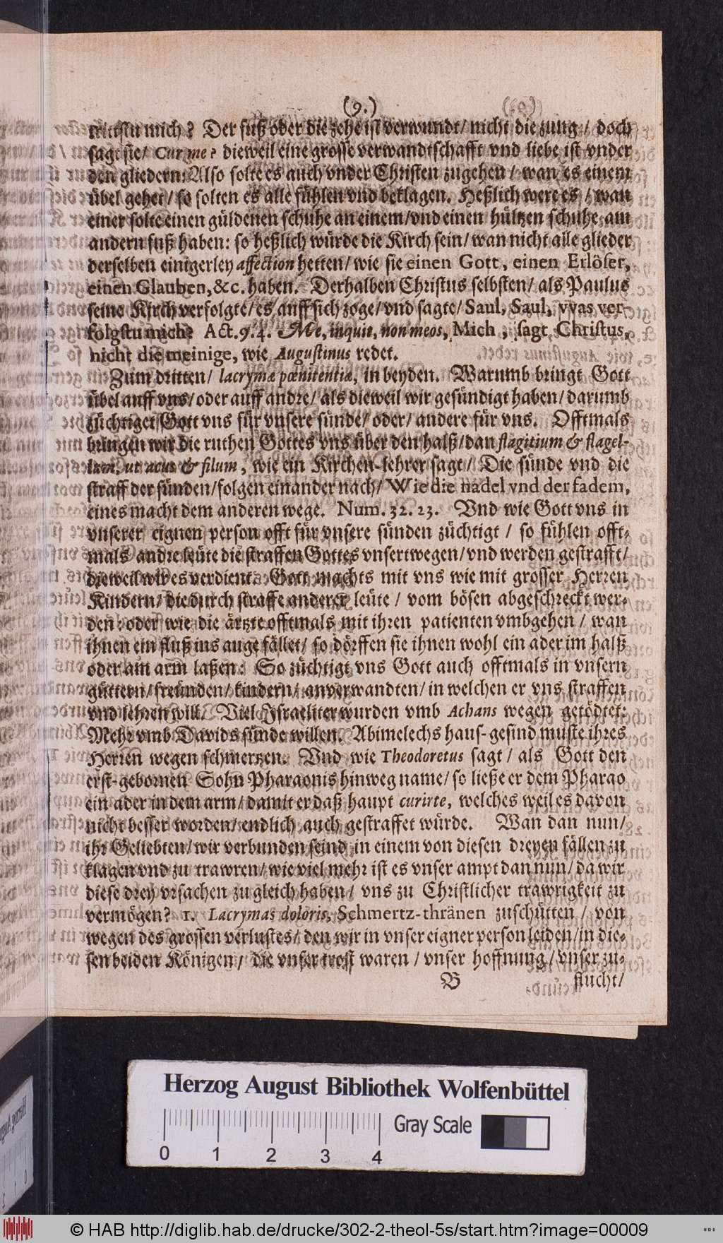 http://diglib.hab.de/drucke/302-2-theol-5s/00009.jpg