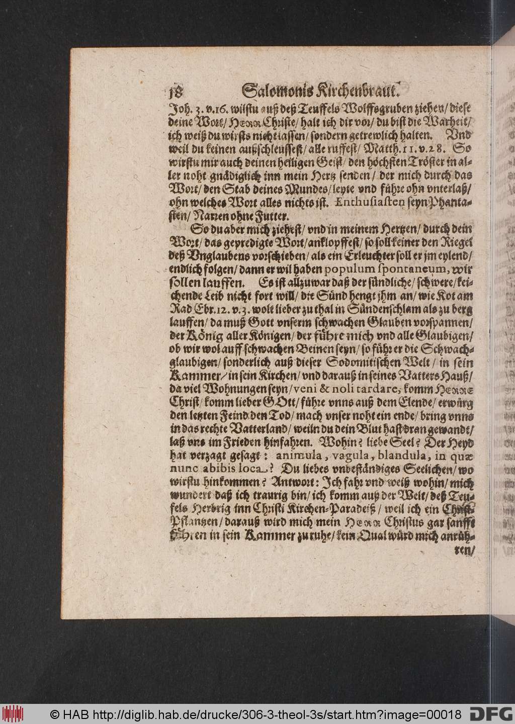 http://diglib.hab.de/drucke/306-3-theol-3s/00018.jpg