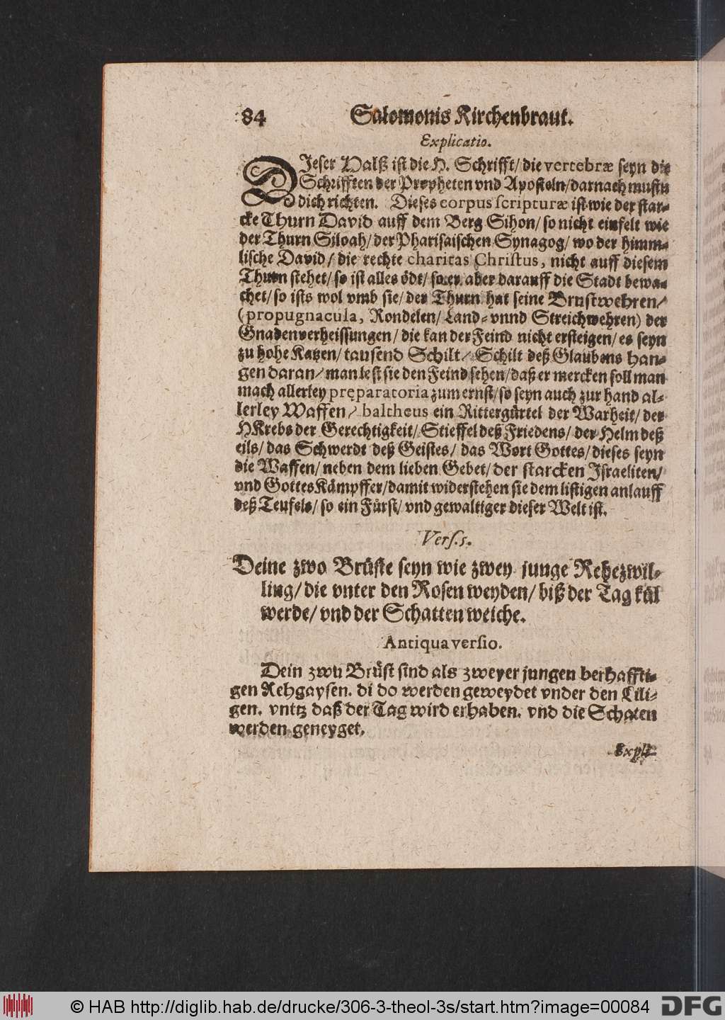 http://diglib.hab.de/drucke/306-3-theol-3s/00084.jpg