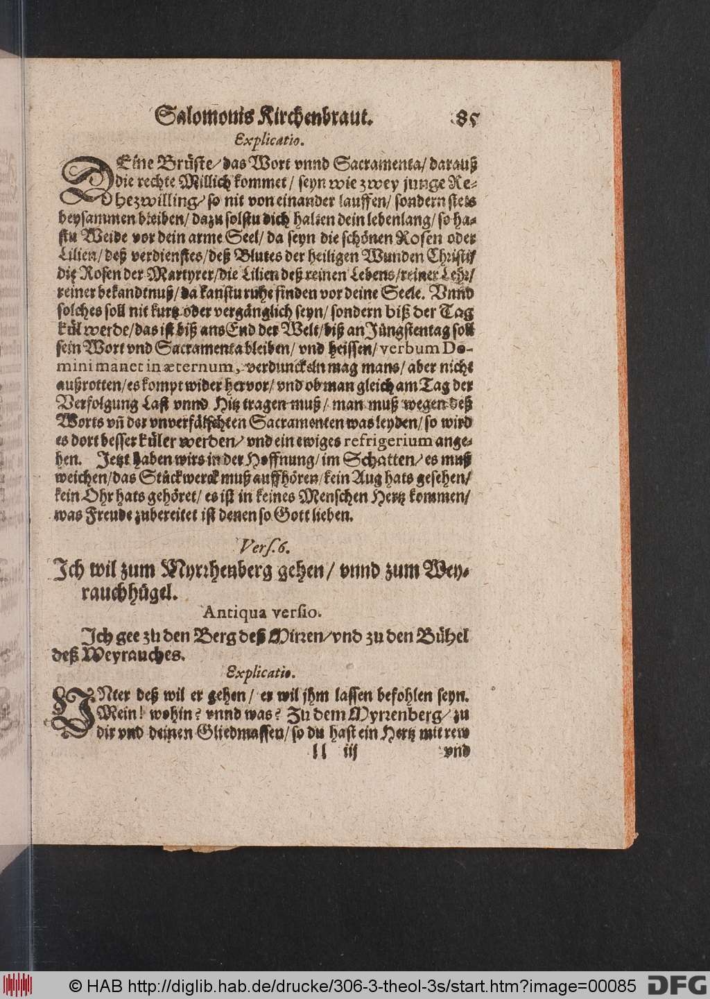 http://diglib.hab.de/drucke/306-3-theol-3s/00085.jpg