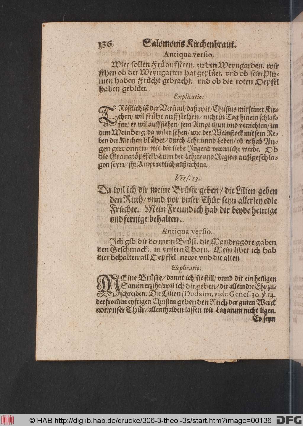 http://diglib.hab.de/drucke/306-3-theol-3s/00136.jpg
