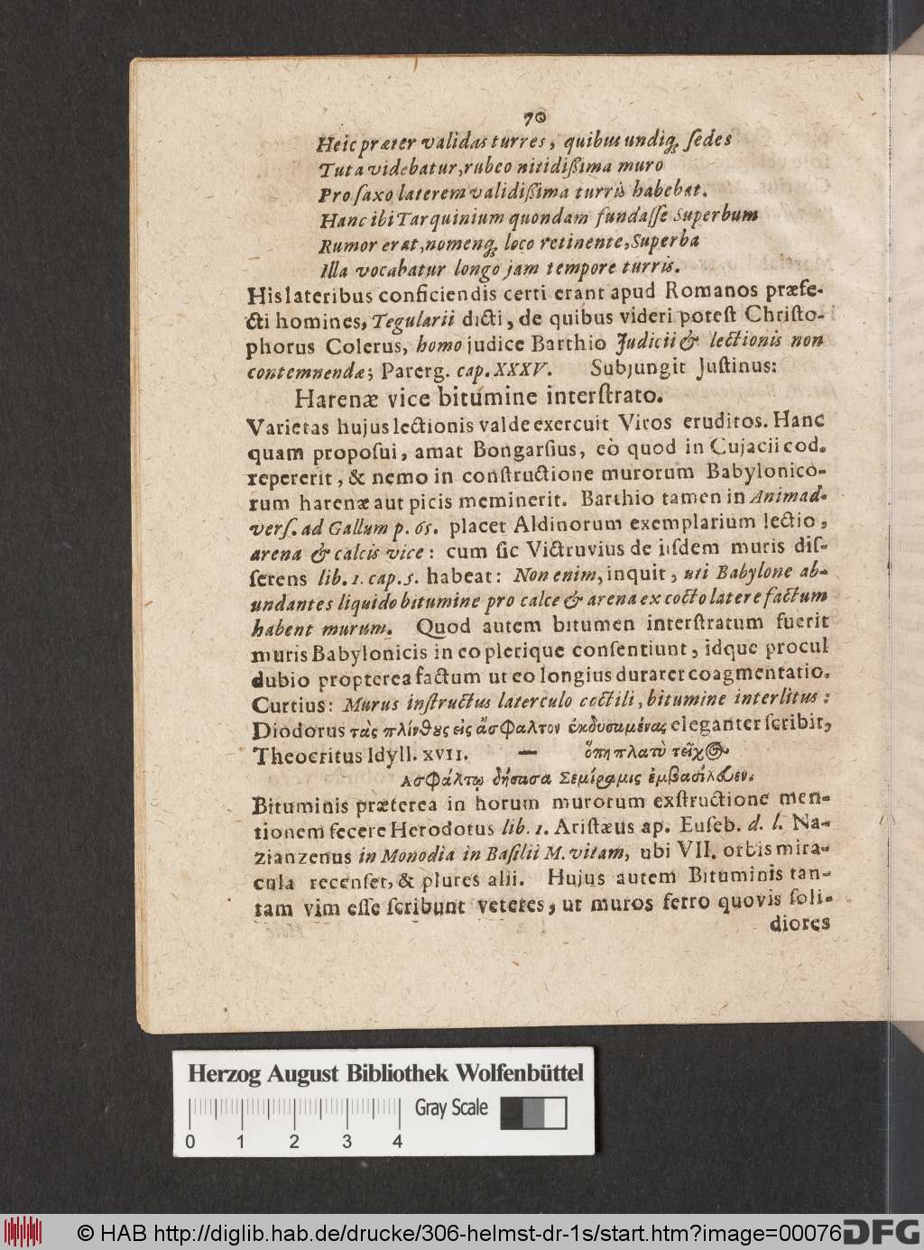 http://diglib.hab.de/drucke/306-helmst-dr-1s/00076.jpg