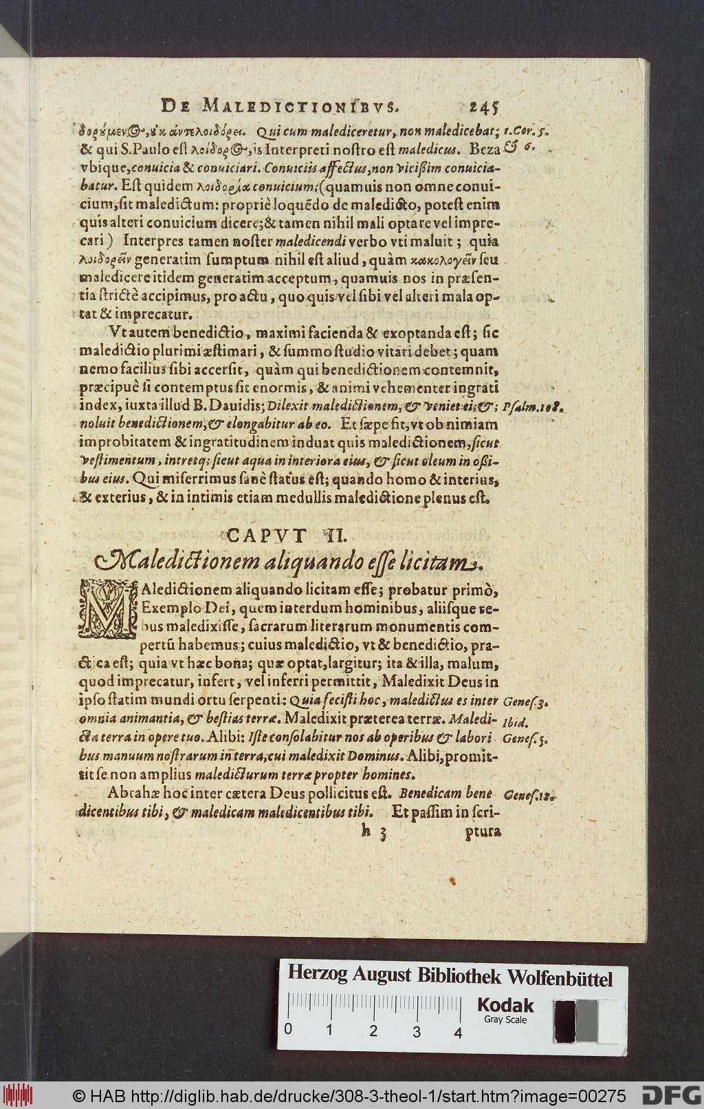 http://diglib.hab.de/drucke/308-3-theol-1/00275.jpg