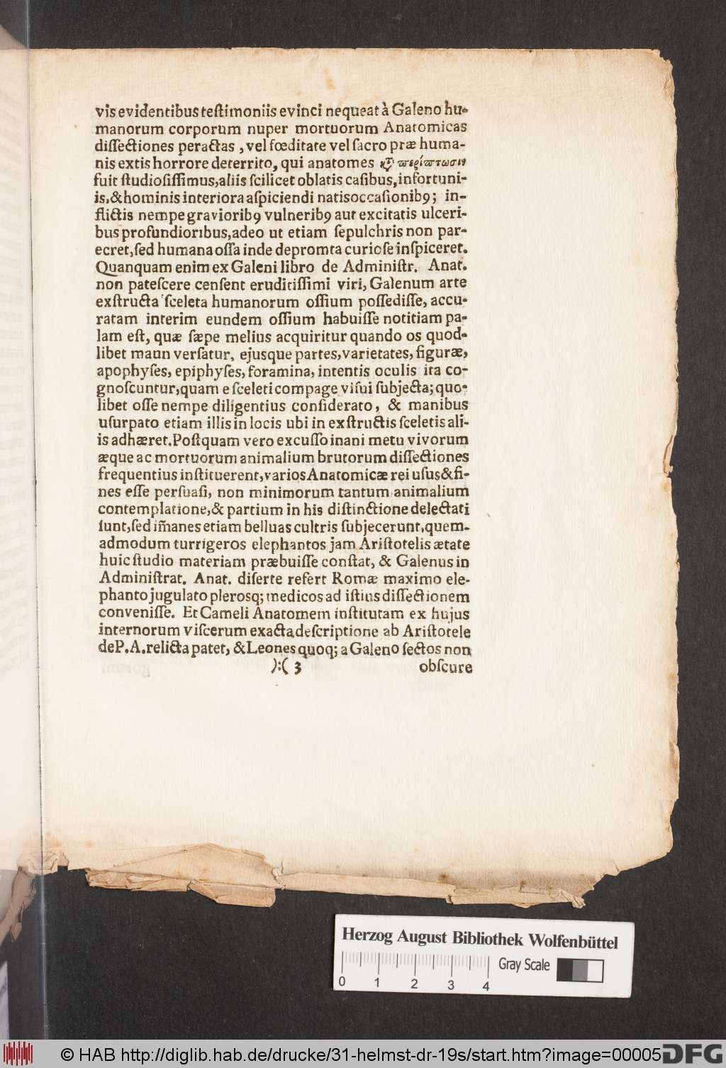 http://diglib.hab.de/drucke/31-helmst-dr-19s/00005.jpg