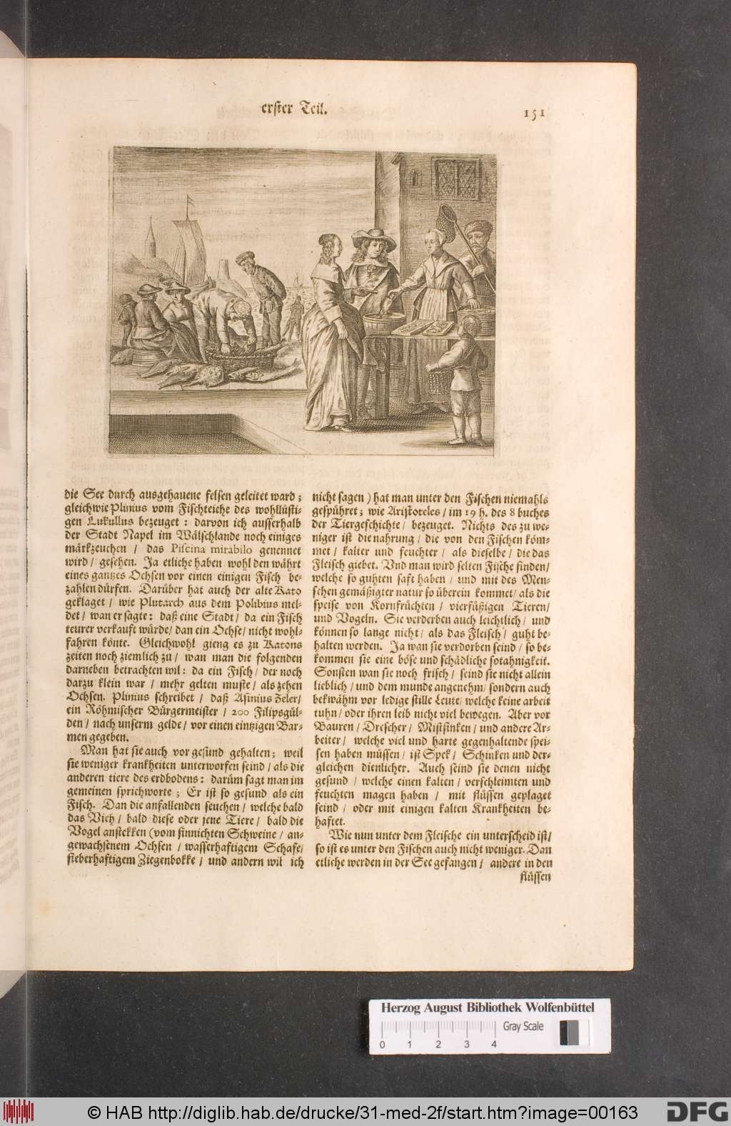 http://diglib.hab.de/drucke/31-med-2f/00163.jpg