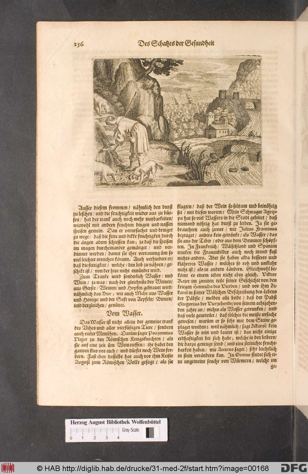 http://diglib.hab.de/drucke/31-med-2f/00168.jpg