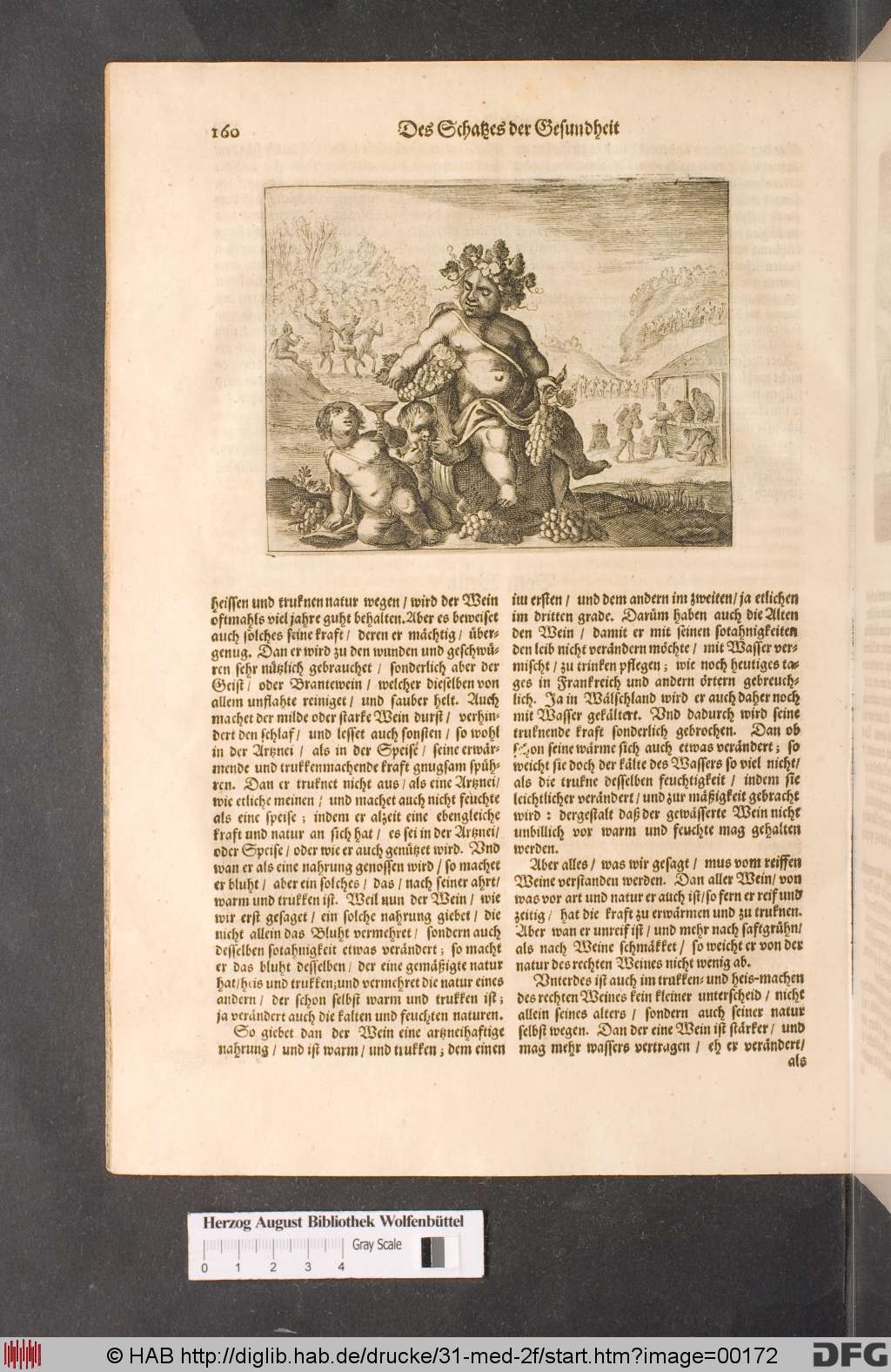 http://diglib.hab.de/drucke/31-med-2f/00172.jpg