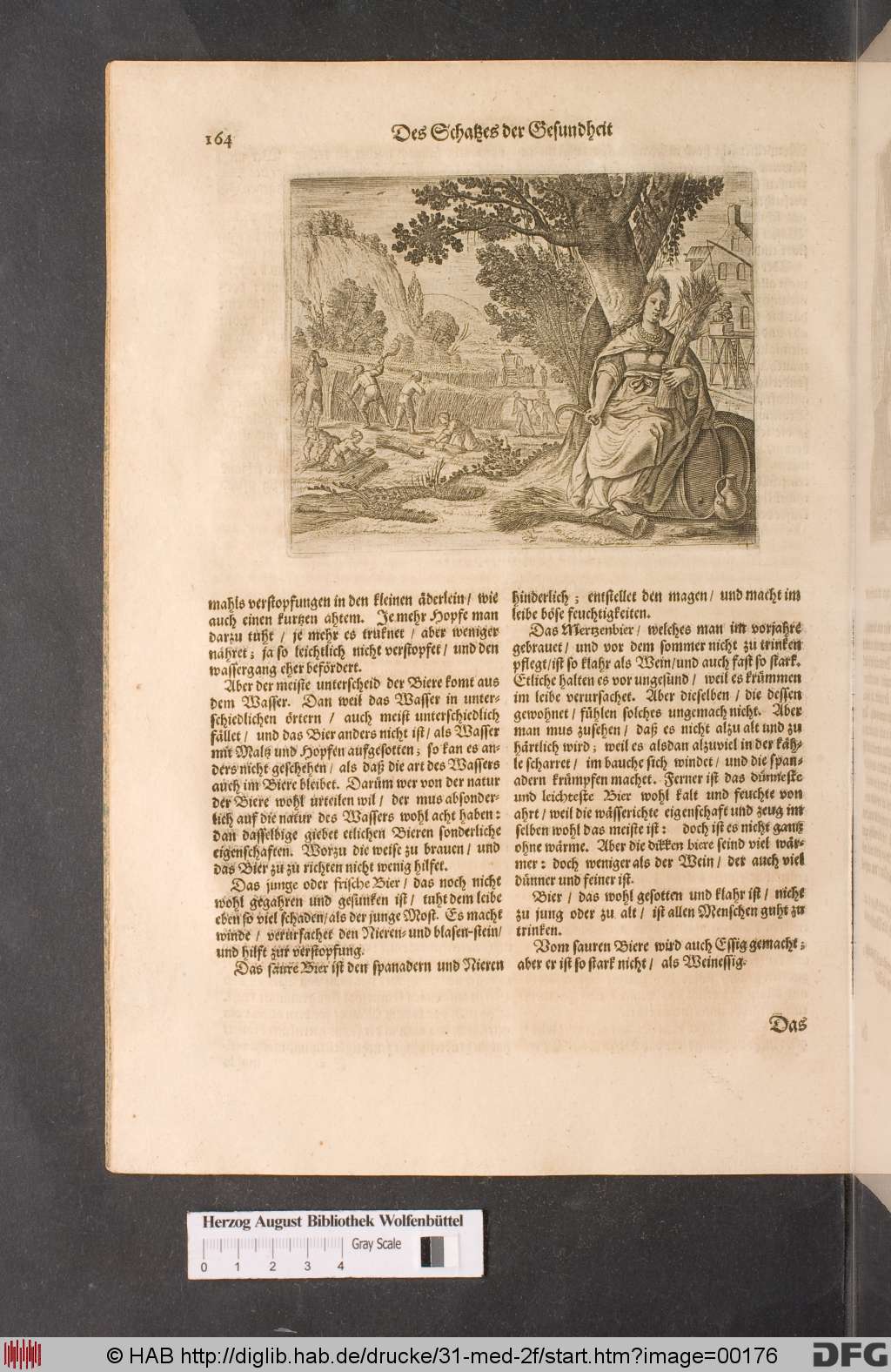 http://diglib.hab.de/drucke/31-med-2f/00176.jpg