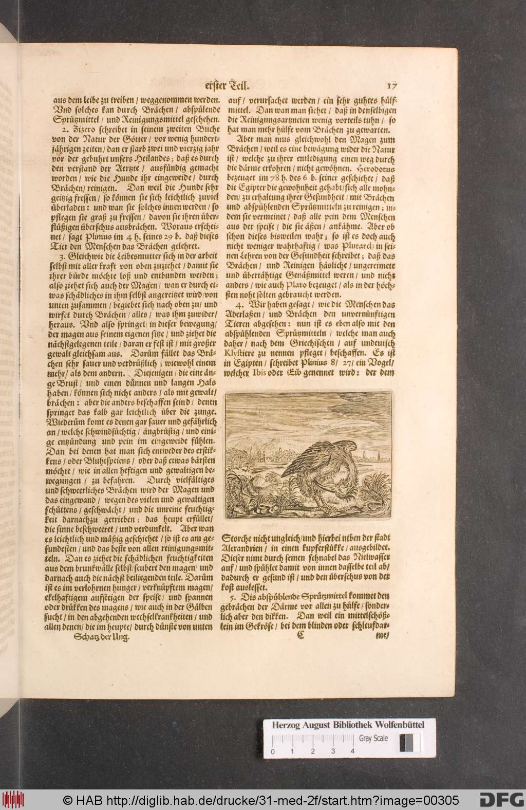 http://diglib.hab.de/drucke/31-med-2f/00305.jpg