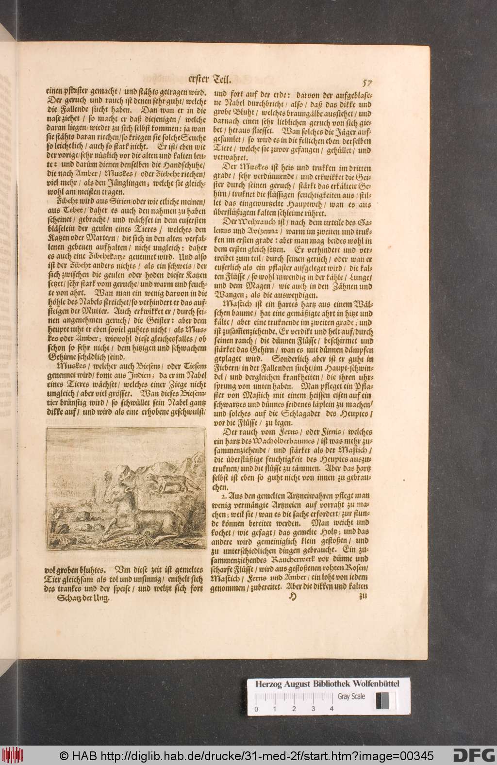 http://diglib.hab.de/drucke/31-med-2f/00345.jpg