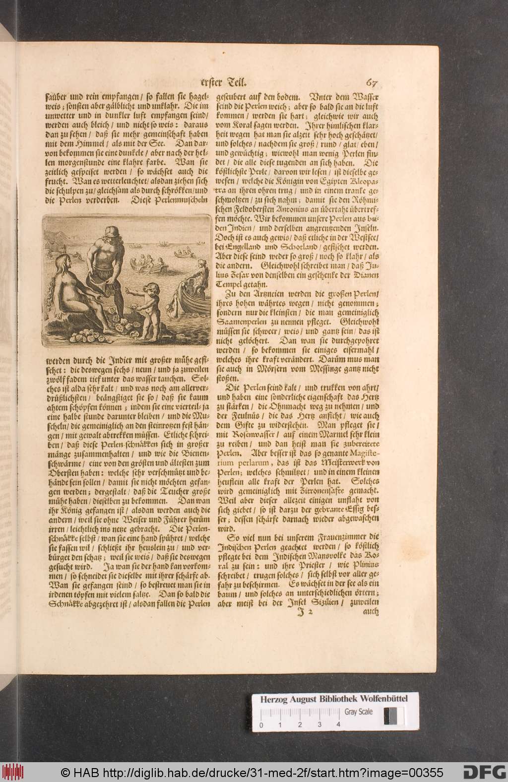 http://diglib.hab.de/drucke/31-med-2f/00355.jpg