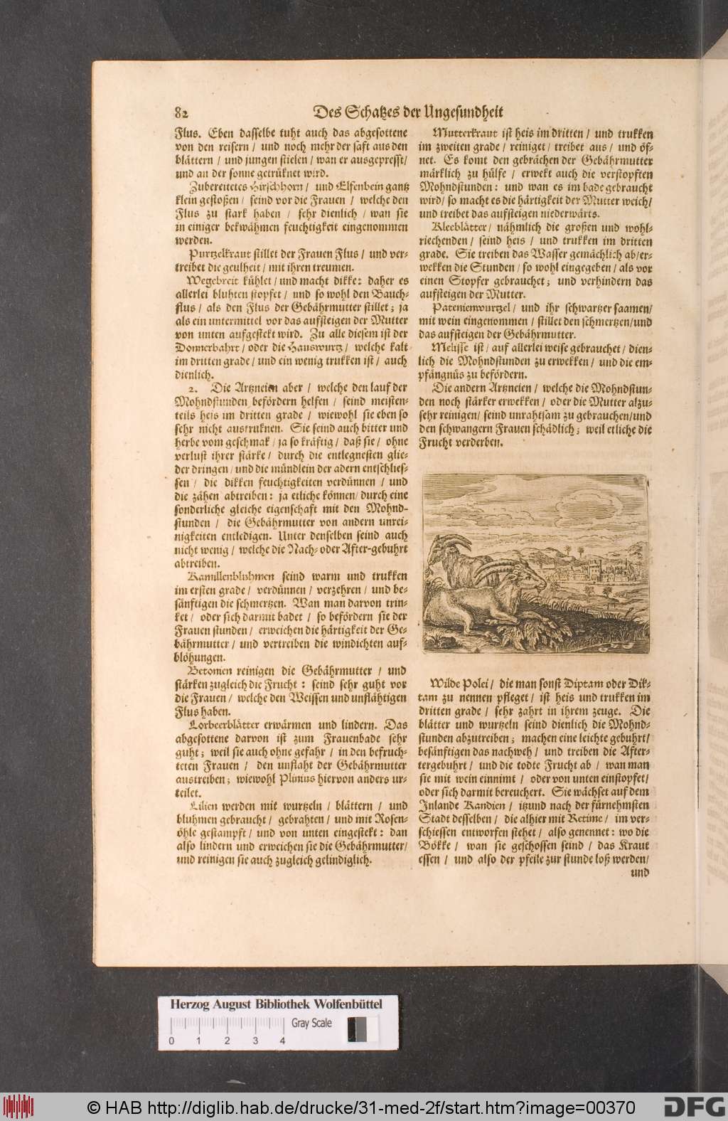 http://diglib.hab.de/drucke/31-med-2f/00370.jpg