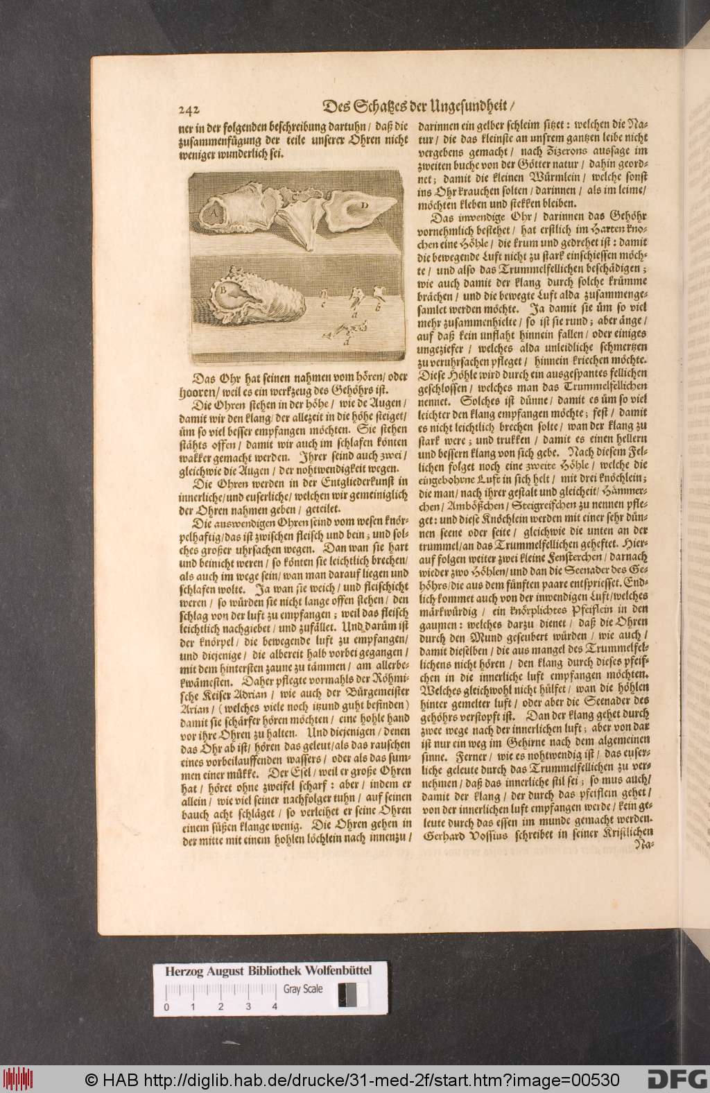 http://diglib.hab.de/drucke/31-med-2f/00530.jpg