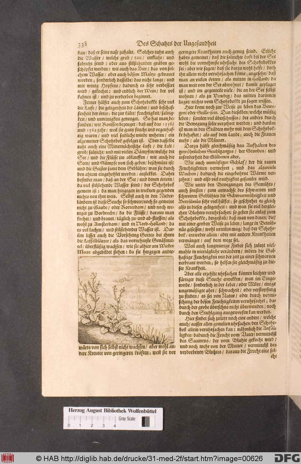 http://diglib.hab.de/drucke/31-med-2f/00626.jpg