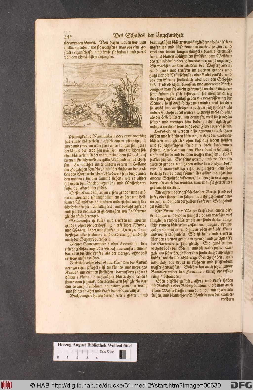 http://diglib.hab.de/drucke/31-med-2f/00630.jpg