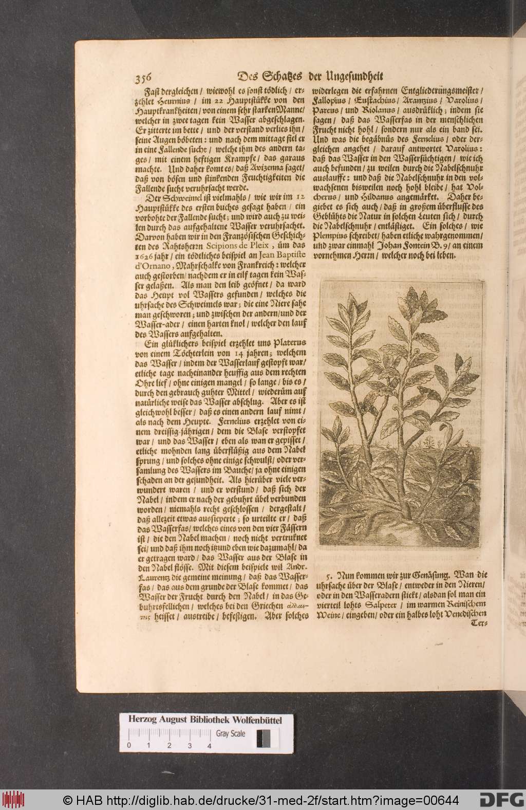 http://diglib.hab.de/drucke/31-med-2f/00644.jpg