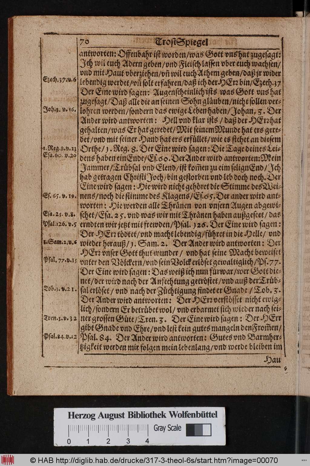 http://diglib.hab.de/drucke/317-3-theol-6s/00070.jpg