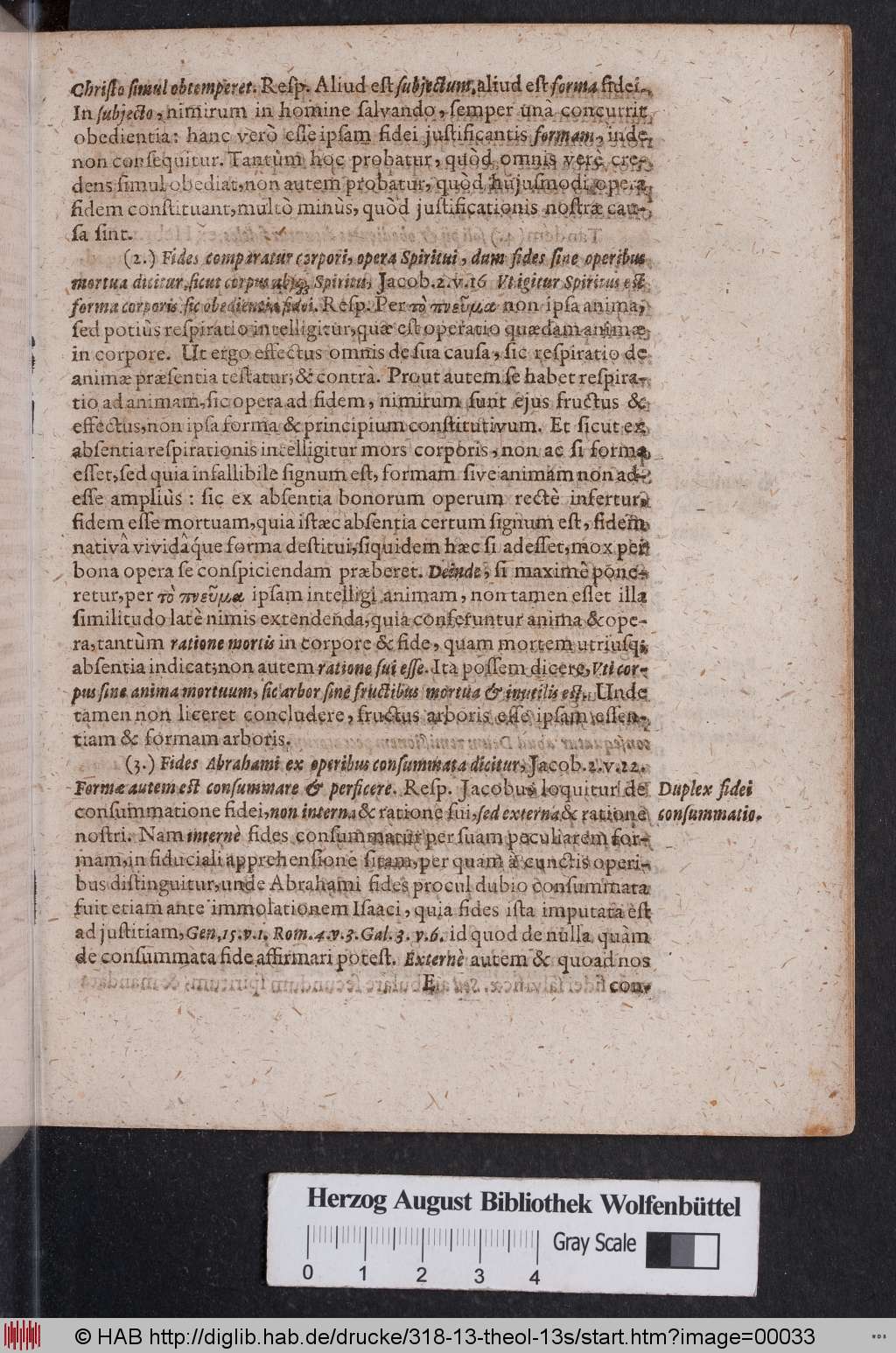 http://diglib.hab.de/drucke/318-13-theol-13s/00033.jpg
