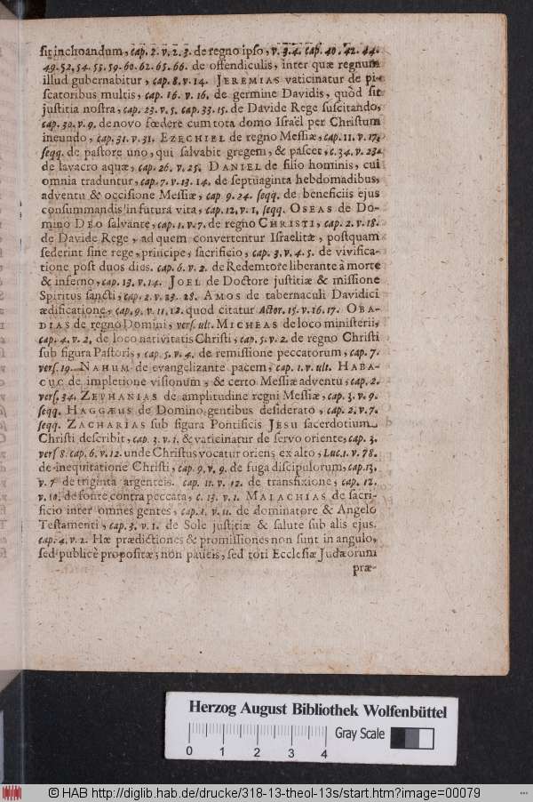 http://diglib.hab.de/drucke/318-13-theol-13s/min/00079.jpg