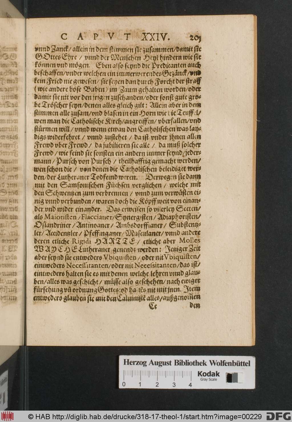 http://diglib.hab.de/drucke/318-17-theol-1/00229.jpg