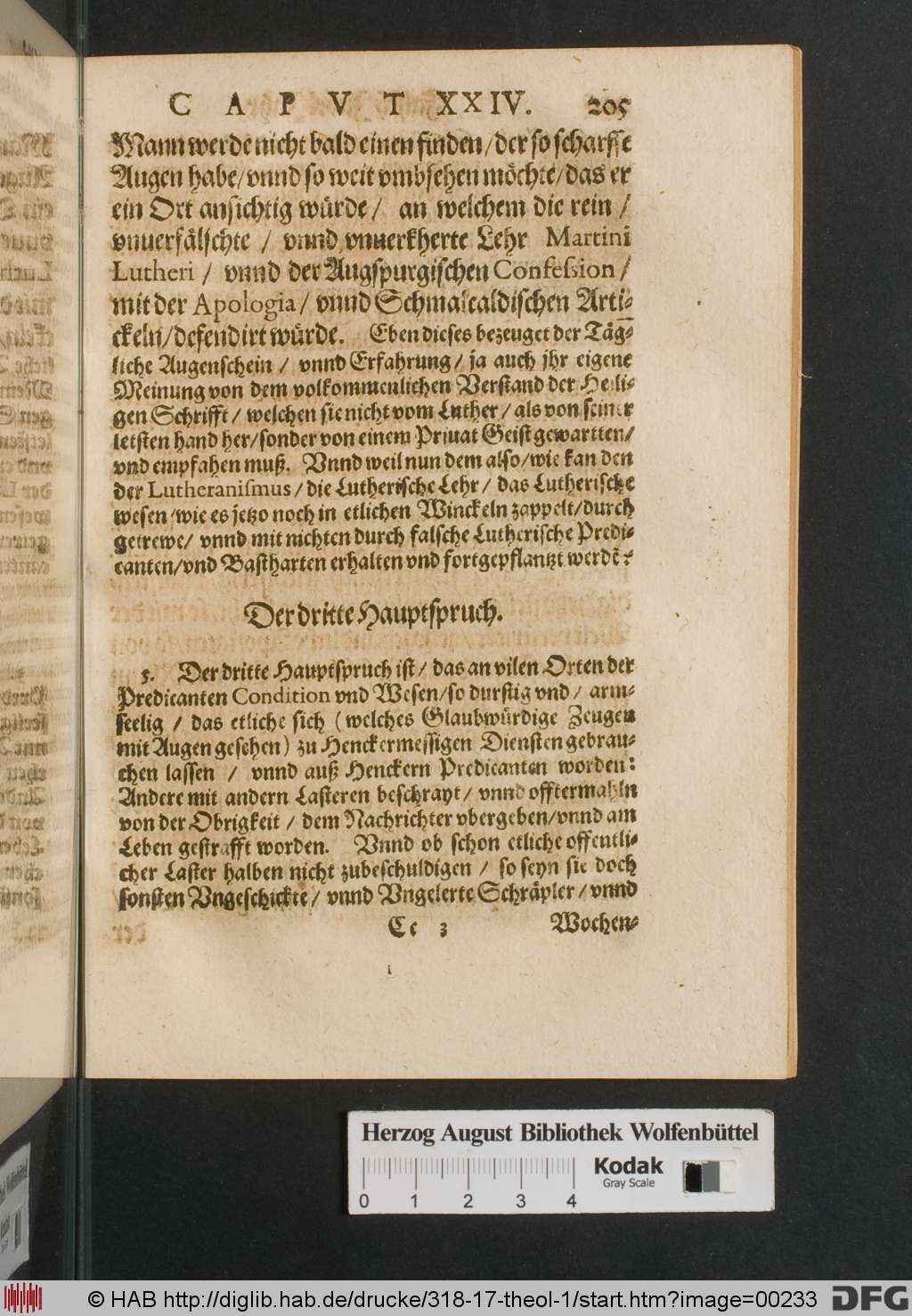 http://diglib.hab.de/drucke/318-17-theol-1/00233.jpg