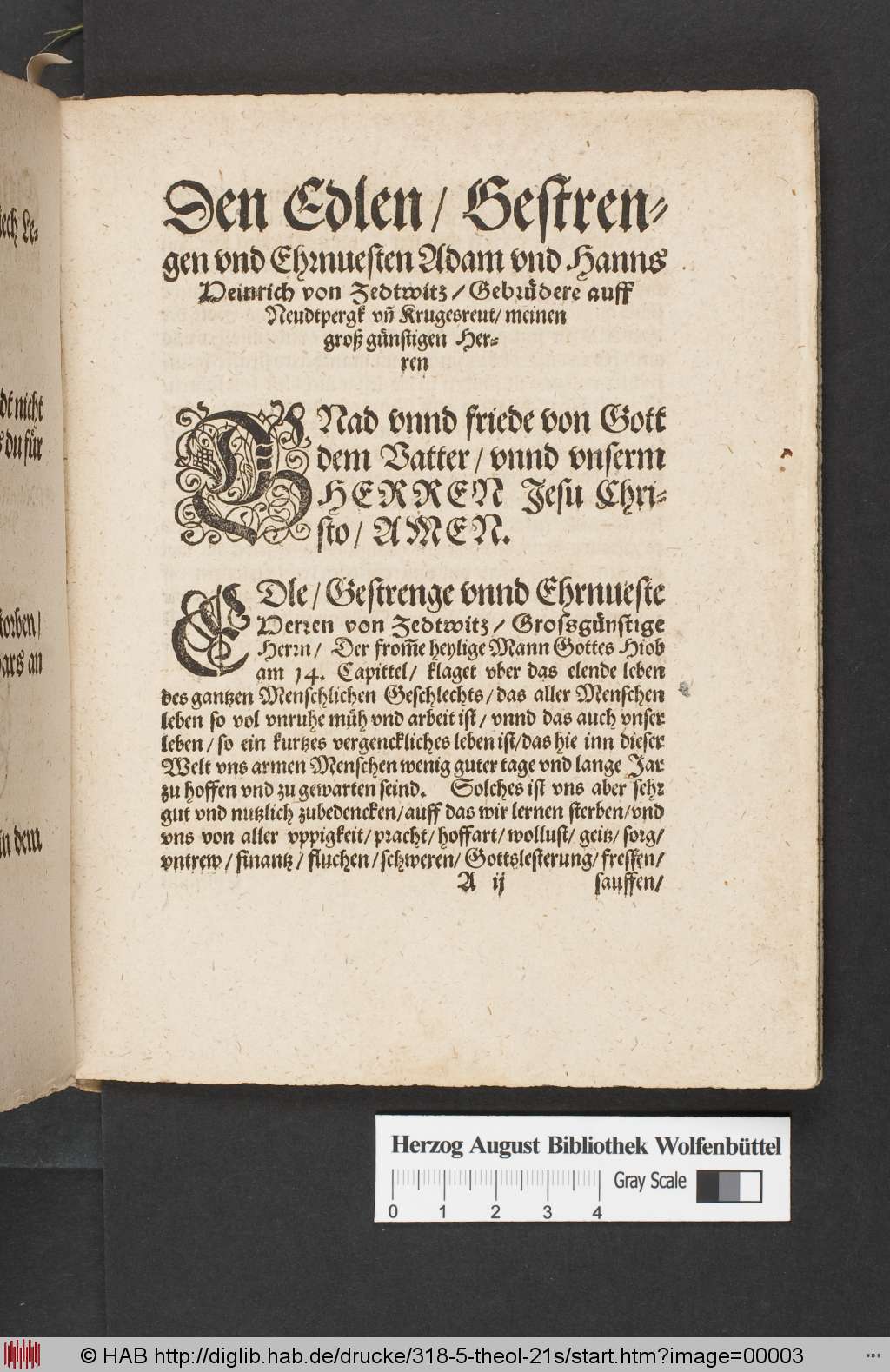 http://diglib.hab.de/drucke/318-5-theol-21s/00003.jpg