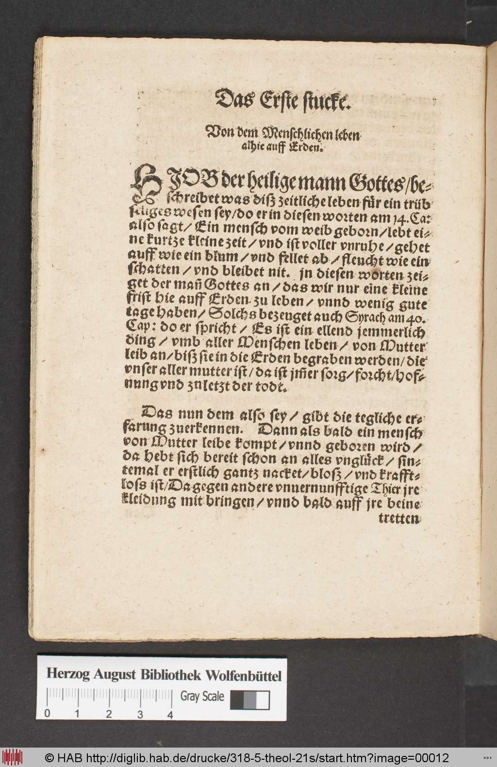 http://diglib.hab.de/drucke/318-5-theol-21s/00012.jpg