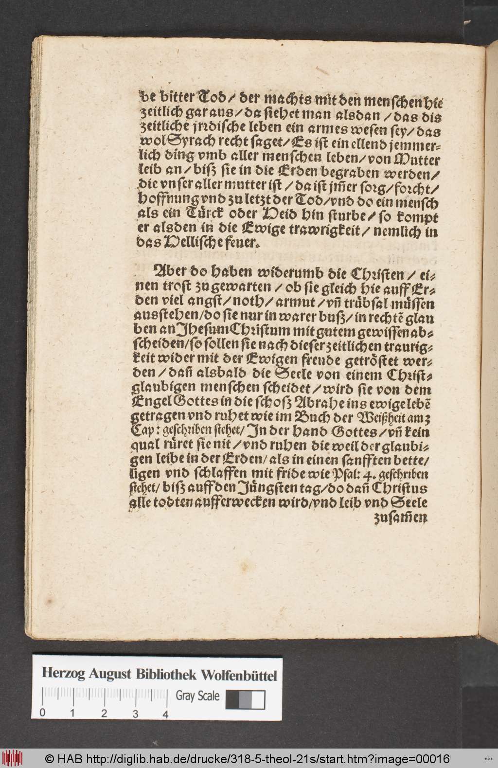 http://diglib.hab.de/drucke/318-5-theol-21s/00016.jpg