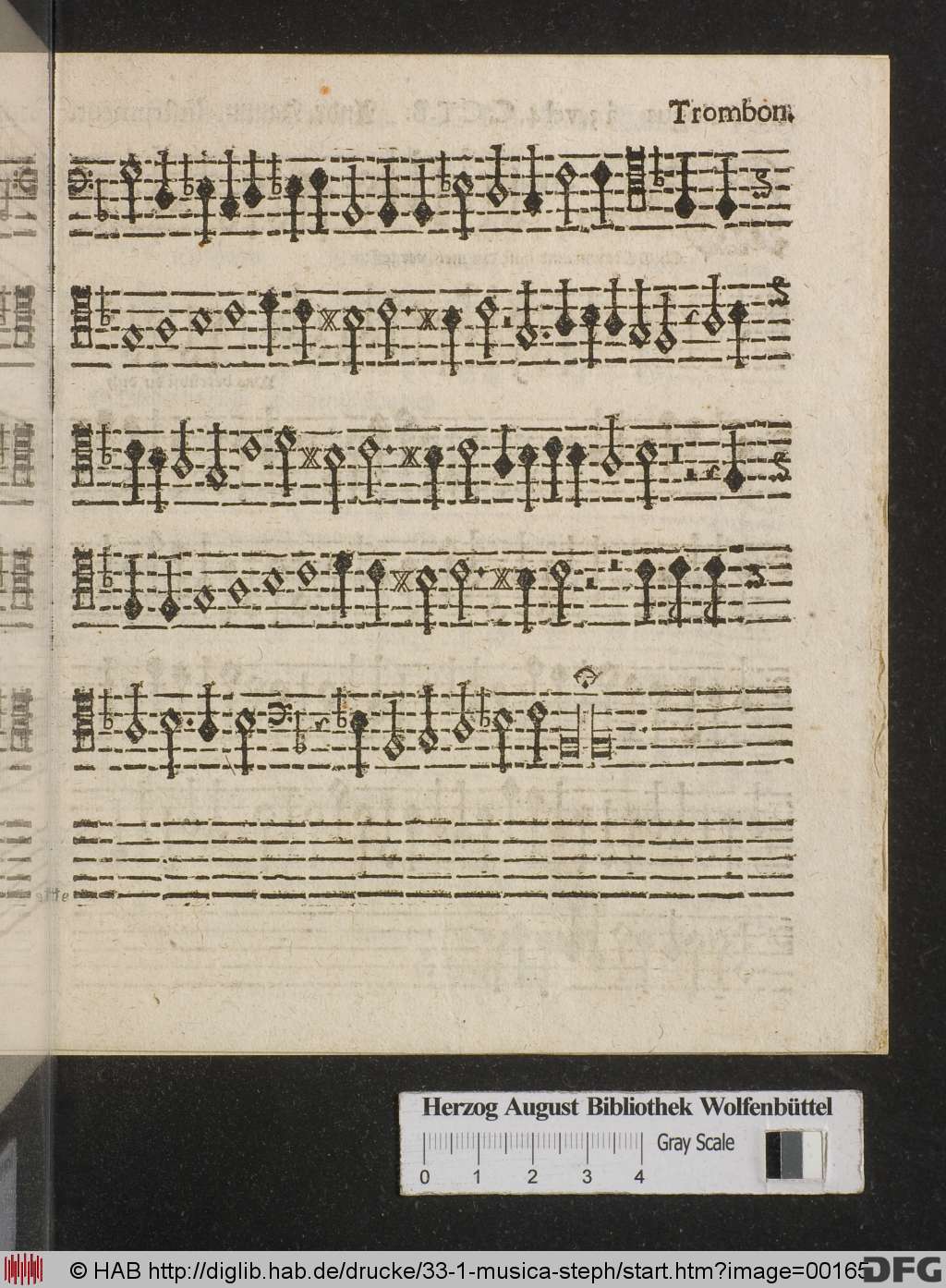 http://diglib.hab.de/drucke/33-1-musica-steph/00165.jpg