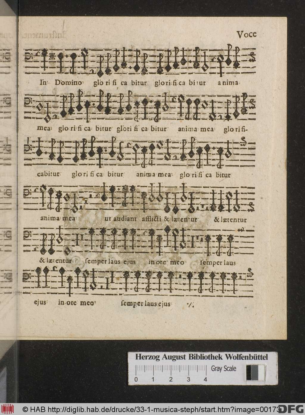 http://diglib.hab.de/drucke/33-1-musica-steph/00173.jpg