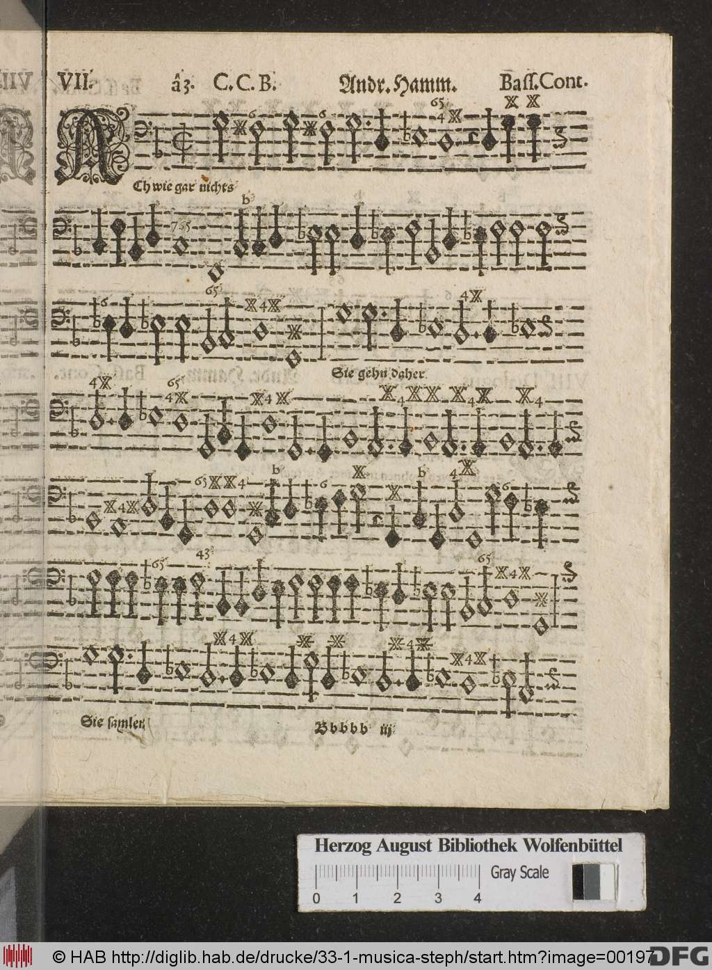 http://diglib.hab.de/drucke/33-1-musica-steph/00197.jpg