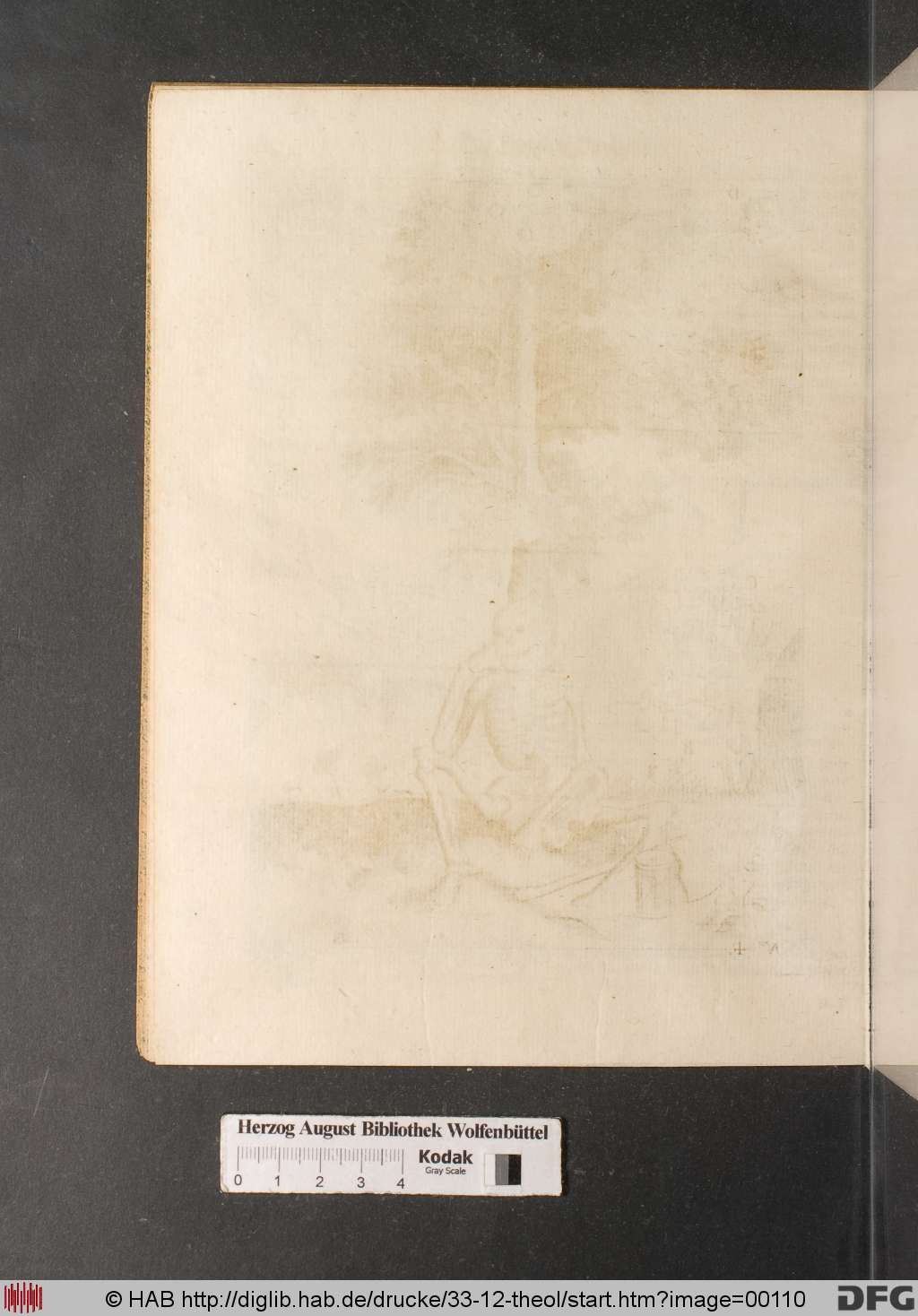 http://diglib.hab.de/drucke/33-12-theol/00110.jpg