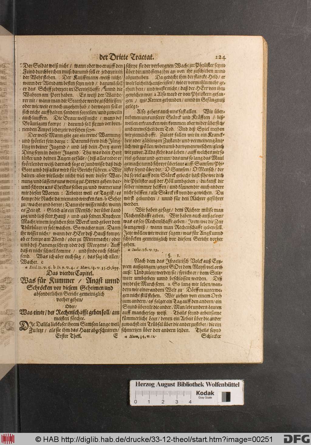 http://diglib.hab.de/drucke/33-12-theol/00251.jpg