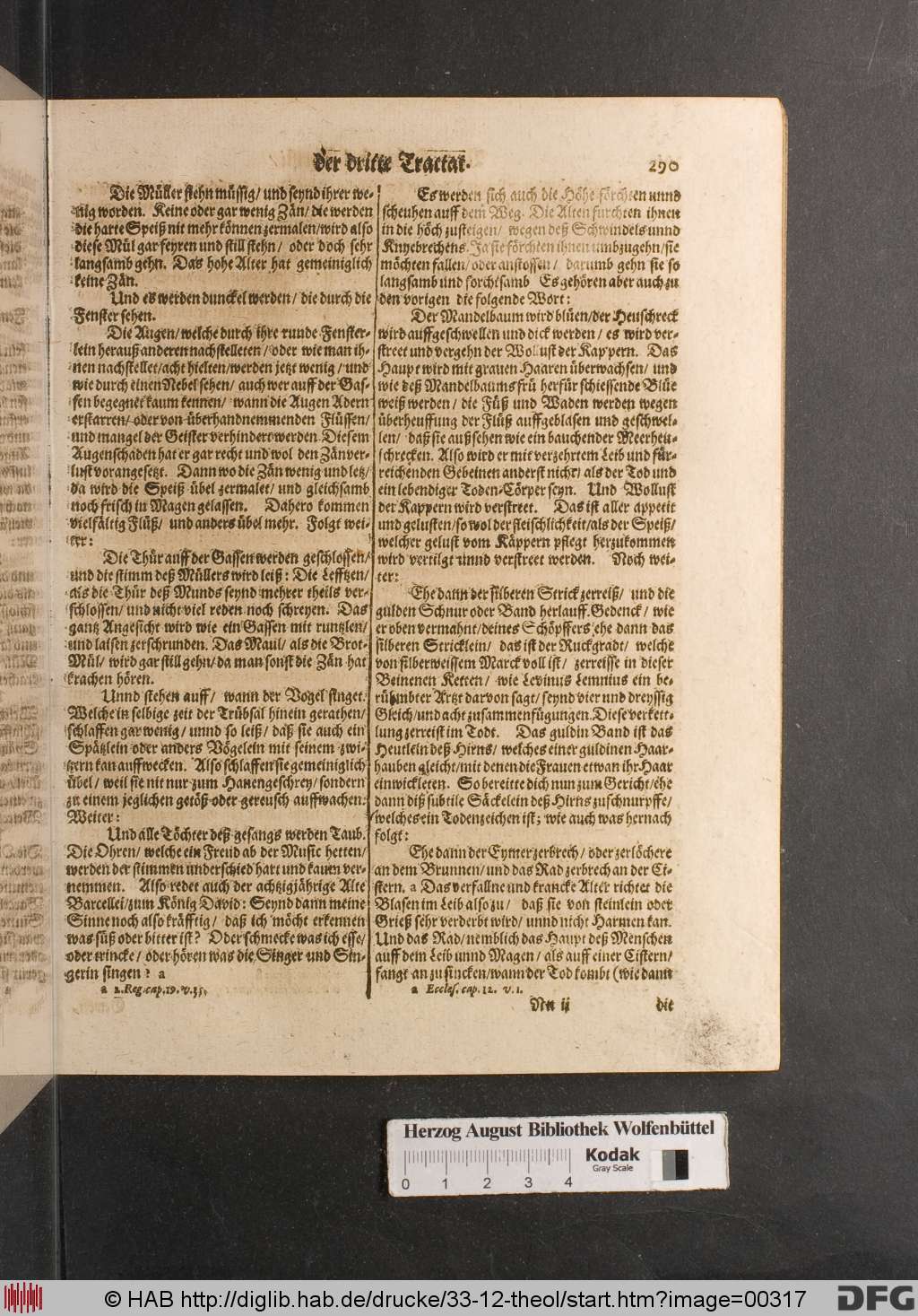 http://diglib.hab.de/drucke/33-12-theol/00317.jpg