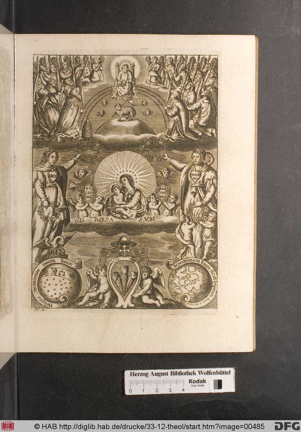 http://diglib.hab.de/drucke/33-12-theol/00485.jpg