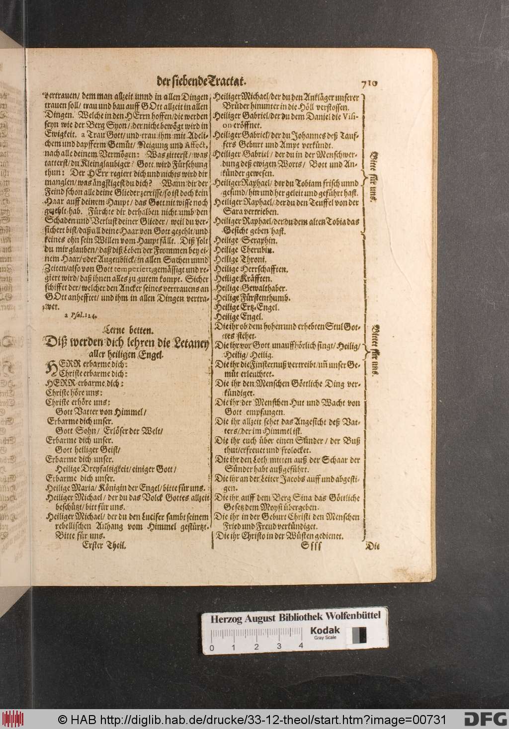 http://diglib.hab.de/drucke/33-12-theol/00731.jpg