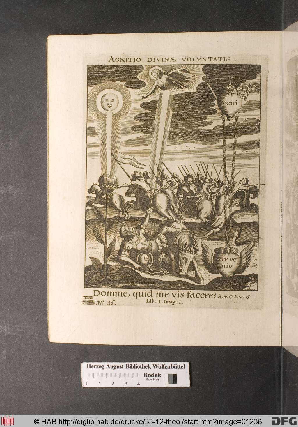 http://diglib.hab.de/drucke/33-12-theol/01238.jpg