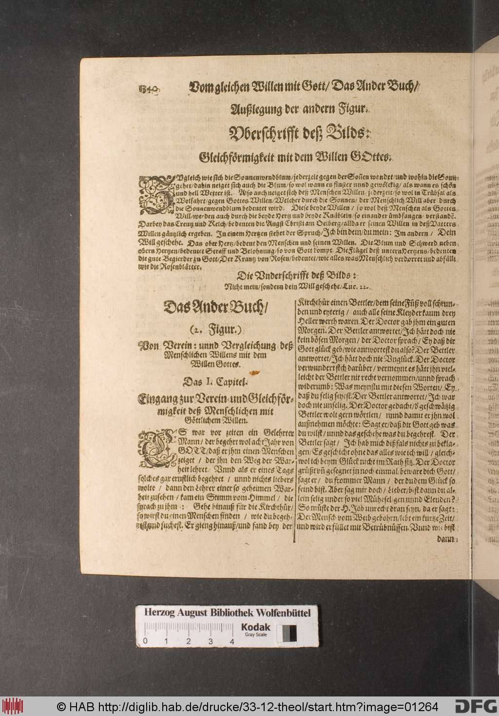 http://diglib.hab.de/drucke/33-12-theol/01264.jpg