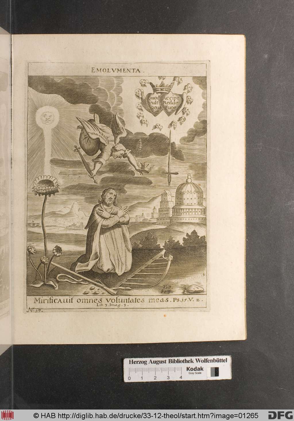 http://diglib.hab.de/drucke/33-12-theol/01265.jpg