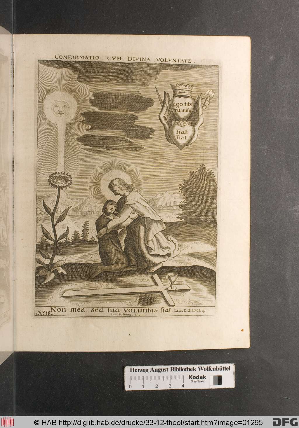 http://diglib.hab.de/drucke/33-12-theol/01295.jpg